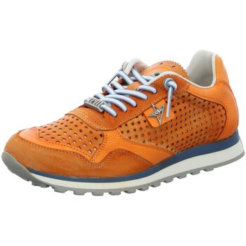 Schoenen Heren Sneakers Cetti  Oranje
