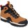 Schoenen Heren Sneakers DC Shoes ADYB100008 Bruin