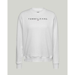 Textiel Dames Sweaters / Sweatshirts Tommy Hilfiger DW0DW17323YBR Wit