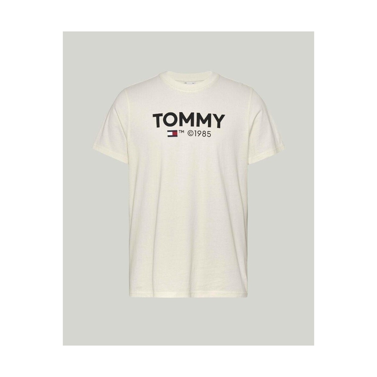 Textiel Heren T-shirts korte mouwen Tommy Hilfiger DM0DM18264YBH Wit