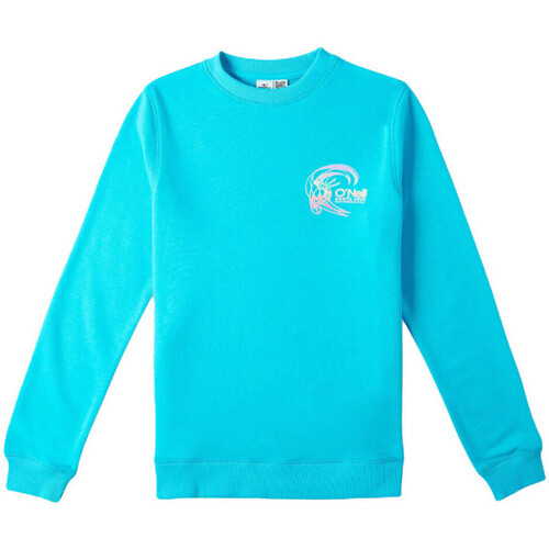 Textiel Meisjes Sweaters / Sweatshirts O'neill  Blauw