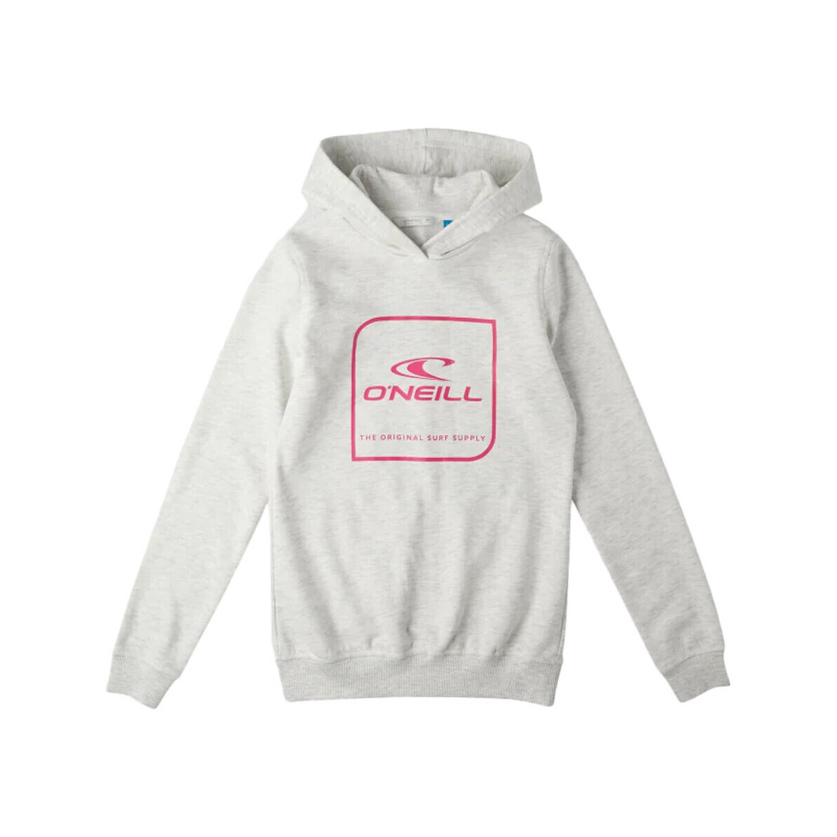 Textiel Meisjes Sweaters / Sweatshirts O'neill  Grijs