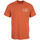 Textiel Heren T-shirts korte mouwen Nike M J Flt Artist Series Ss Crew Oranje