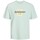 Textiel Heren T-shirts korte mouwen Jack & Jones 12250436 JORLAFAYETTE Groen