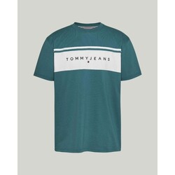 Textiel Heren T-shirts korte mouwen Tommy Hilfiger DM0DM18658CT0 Groen