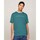 Textiel Heren T-shirts korte mouwen Tommy Hilfiger DM0DM17993CT0 Groen