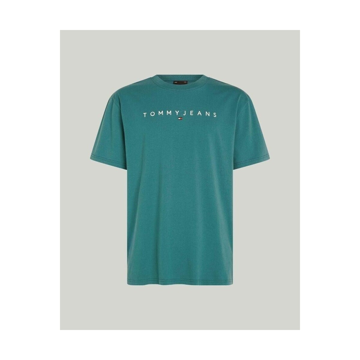 Textiel Heren T-shirts korte mouwen Tommy Hilfiger DM0DM17993CT0 Groen