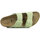 Schoenen Dames Sandalen / Open schoenen Birkenstock Arizona Bs Groen
