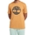 Textiel Heren T-shirts korte mouwen Timberland 227621 Bruin