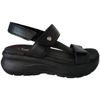 Schoenen Dames Sandalen / Open schoenen Panama Jack DAMES sandaal   NOOR zwart Zwart