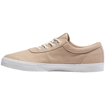 Timberland MYLO BAY LOW LACE UP Beige