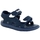 Schoenen Jongens Sandalen / Open schoenen Timberland PERKINS ROW 2 STRAP Blauw