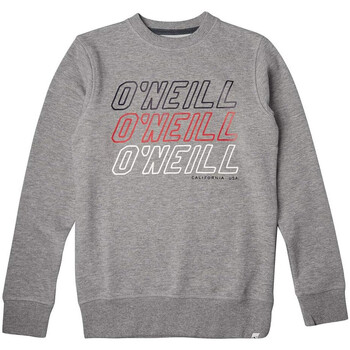 Textiel Kinderen Sweaters / Sweatshirts O'neill  Grijs