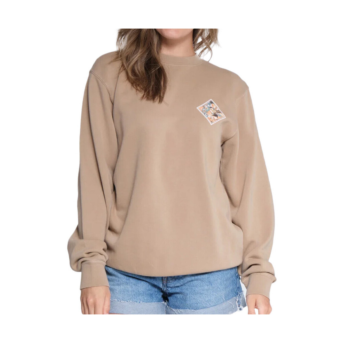 Textiel Dames Sweaters / Sweatshirts Salty Crew  Bruin