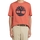 Textiel Heren T-shirts korte mouwen Timberland 227500 Oranje