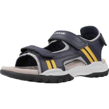 Schoenen Jongens Sandalen / Open schoenen Geox J BOREALIS B Blauw