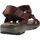 Schoenen Heren Sandalen / Open schoenen Clarks RAFFE COAST Bruin