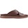 Schoenen Heren Sandalen / Open schoenen Clarks SUNDER WAVE Bruin