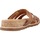 Schoenen Sandalen / Open schoenen Clarks YACHT CORAL Bruin