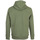 Textiel Heren Sweaters / Sweatshirts Timberland Tree Logo Hoodie Groen