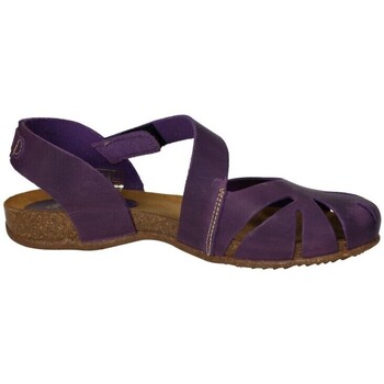 Schoenen Dames Sandalen / Open schoenen Interbios  Violet