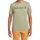Textiel Heren T-shirts korte mouwen Timberland 227441 Groen