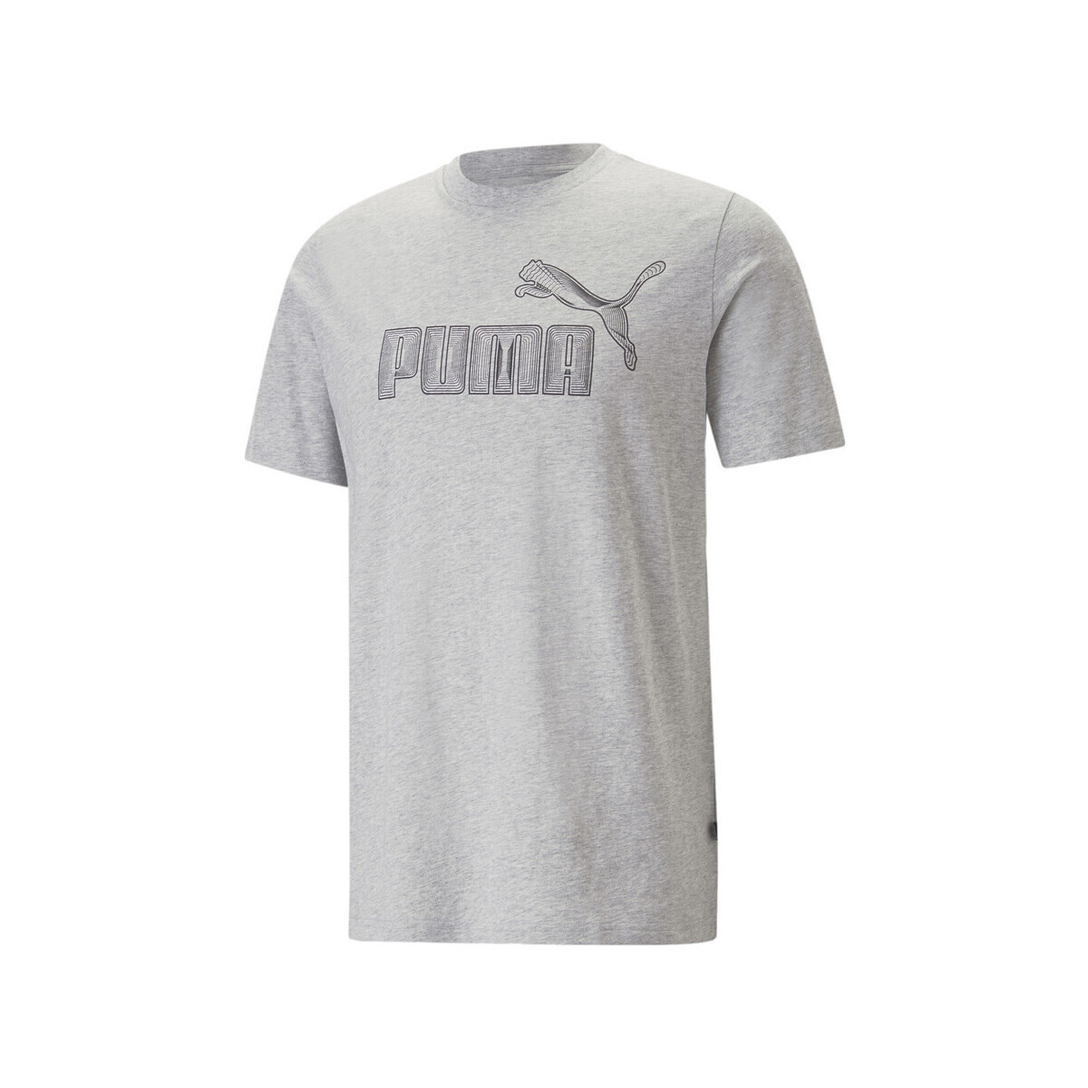 Textiel Heren T-shirts & Polo’s Puma  Grijs