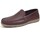 Schoenen Heren Sneakers CallagHan MANDEN  18001 Bruin