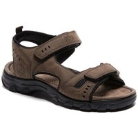 Schoenen Heren Sandalen / Open schoenen Lois 86056 Bruin