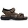 Schoenen Heren Sandalen / Open schoenen Lois 86056 Bruin