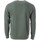 Textiel Heren Sweaters / Sweatshirts Teddy Smith  Groen
