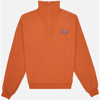 Textiel Dames Sweaters / Sweatshirts Oxbow Honingraatsweater met halve rits SUMATRA Bruin