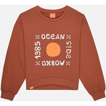 Textiel Dames Sweaters / Sweatshirts Oxbow Sweatshirt met ronde hals en wijde print SARDA Bruin