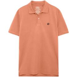 Textiel Heren T-shirts korte mouwen Ecoalf  Oranje