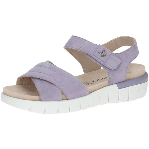 Schoenen Dames Sandalen / Open schoenen Caprice  Violet
