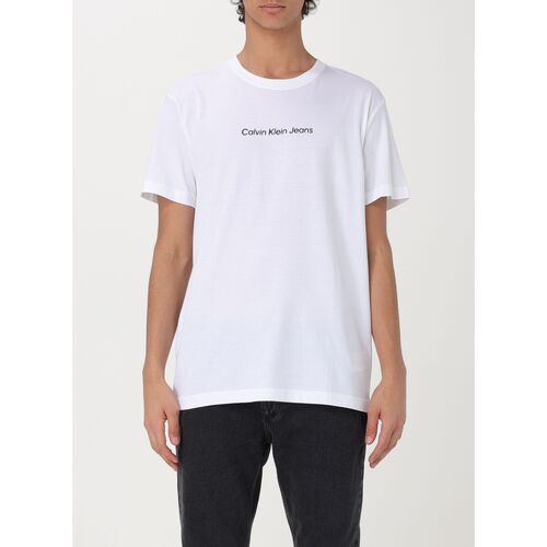 Textiel Heren T-shirts & Polo’s Calvin Klein Jeans J30J324646 YAF Wit