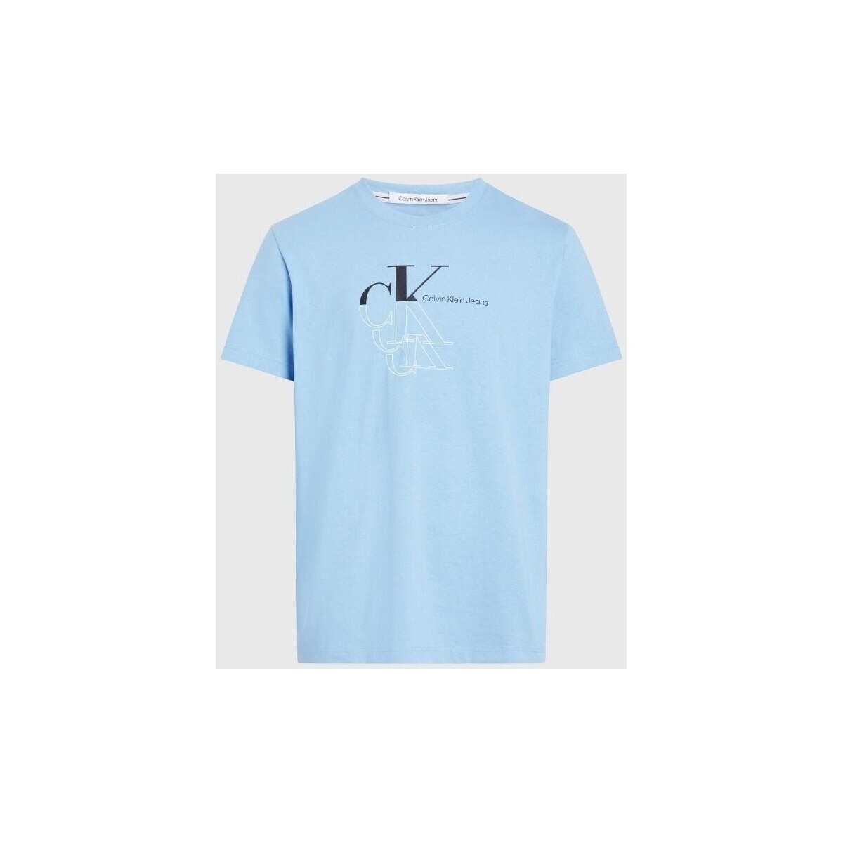 Textiel Heren T-shirts korte mouwen Calvin Klein Jeans J30J325352CEZ Blauw