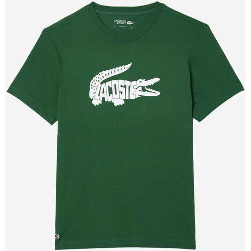 Textiel Heren T-shirts & Polo’s Lacoste Tee logo Groen