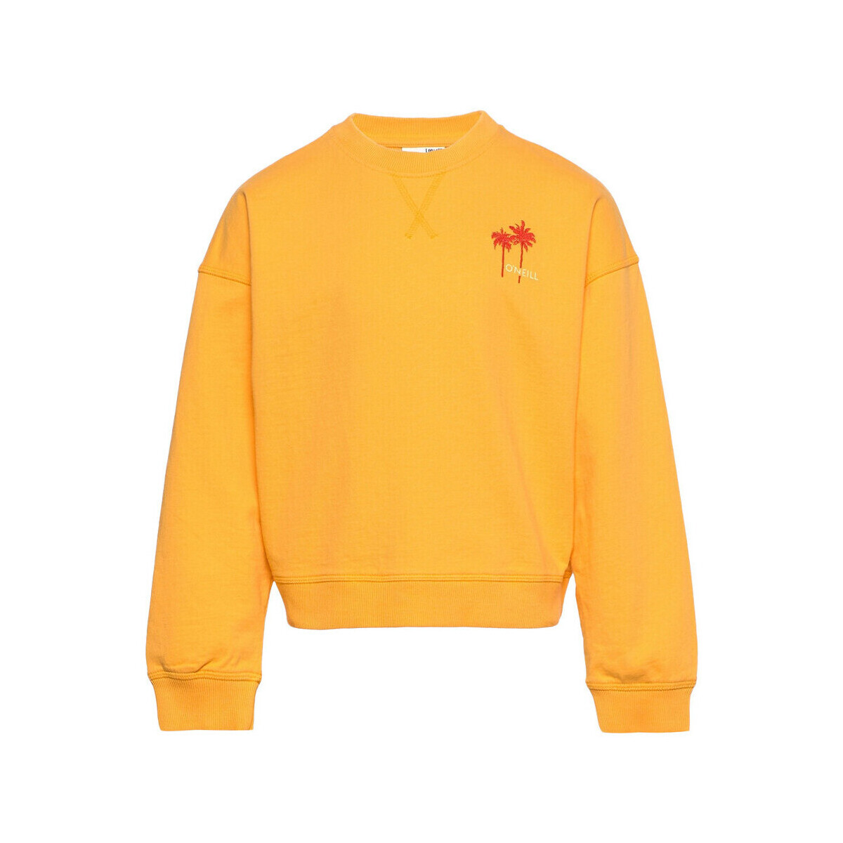 Textiel Meisjes Sweaters / Sweatshirts O'neill  Oranje