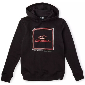 Textiel Jongens Sweaters / Sweatshirts O'neill  Zwart