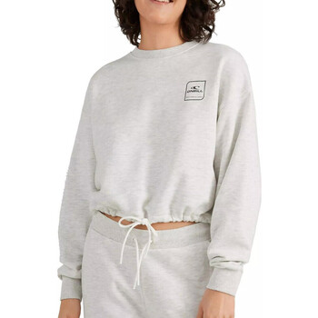 Textiel Dames Sweaters / Sweatshirts O'neill  Grijs