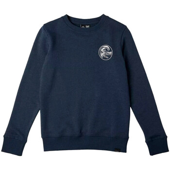 Textiel Jongens Sweaters / Sweatshirts O'neill  Blauw