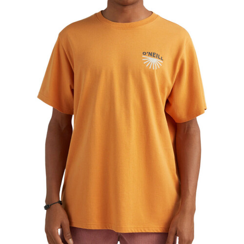 Textiel Heren T-shirts & Polo’s O'neill  Oranje