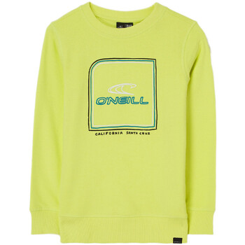 Textiel Jongens Sweaters / Sweatshirts O'neill  Groen