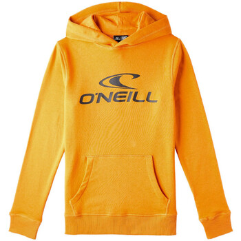 Textiel Jongens Sweaters / Sweatshirts O'neill  Oranje