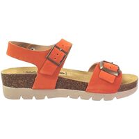 Schoenen Dames Sandalen / Open schoenen Plakton Cool Oranje