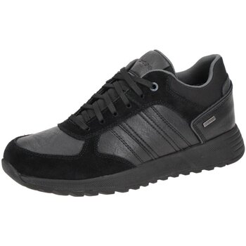 Schoenen Heren Sneakers Geox  Zwart