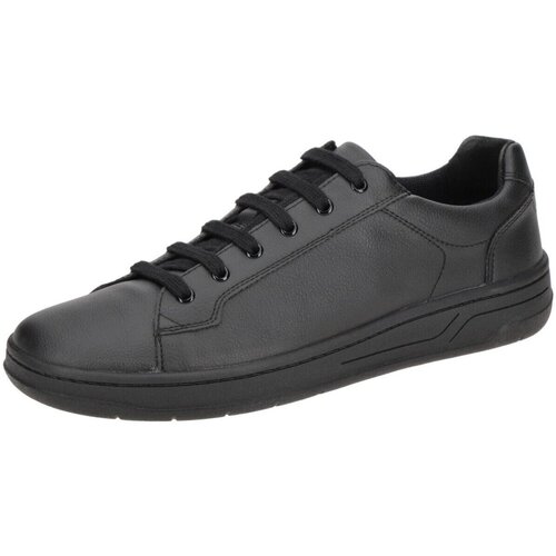 Schoenen Heren Sneakers Geox  Zwart
