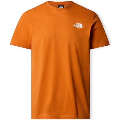 Textiel Heren T-shirts & Polo’s The North Face Redbox Celebration T-Shirt - Desert Rust Oranje