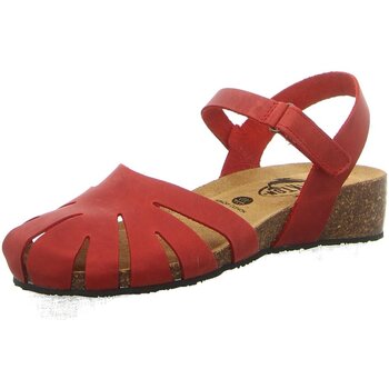 Schoenen Dames Sandalen / Open schoenen Plakton  Rood